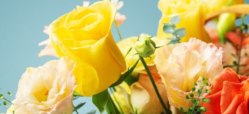 Flower,Bouquet,,Closeup,Yellow,Rose,On,Blue,Background